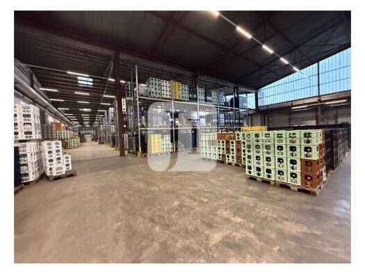 Lagerhalle zur Miete 5.576 m² Lagerfläche teilbar ab 2.771 m² Billstedt Mitte 22113