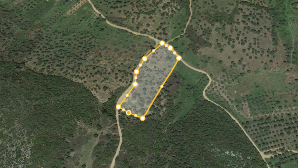 Land-/Forstwirtschaft zum Kauf 180.000 € 7.500 m² Grundstück Chalkidiki