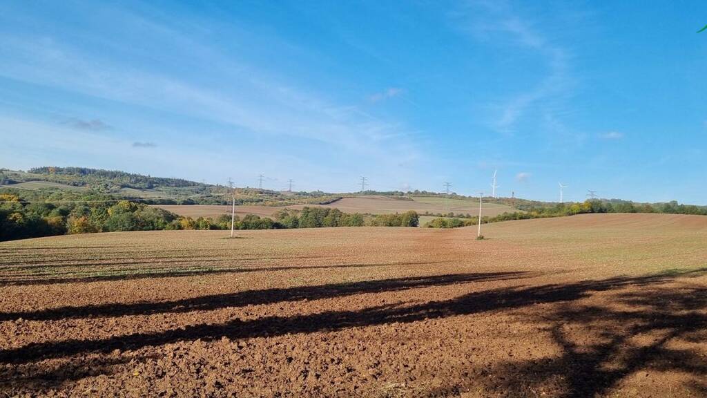 Land-/Forstwirtschaft zum Kauf 141.000.000 CZK Lubenec 0