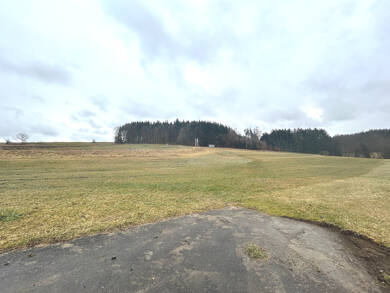 Land-/Forstwirtschaft zum Kauf 59.000 € 9.742 m² Grundstück Premach Ursberg-Mindelzell 86513