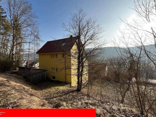 Mehrfamilienhaus zum Kauf 388.000 € 6 Zimmer 125 m² 1.228 m² Grundstück Tuttlingen 78532