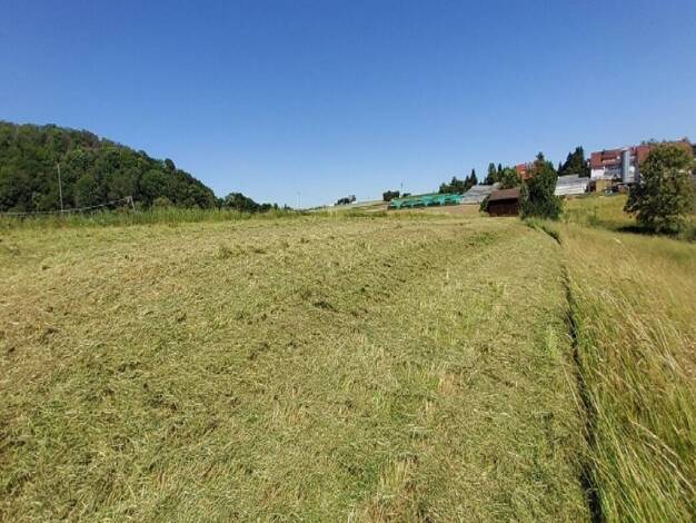 Bauernhof zum Kauf 1.115.000 € 2.863 m² Grundstück Korntal Korntal-Münchingen 70825