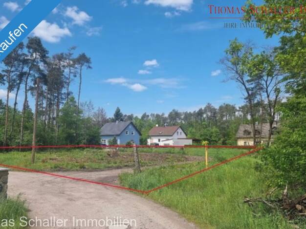 Grundstück zum Kauf 260.000 € 1.000 m² Grundstück Bergham Nittenau 93149