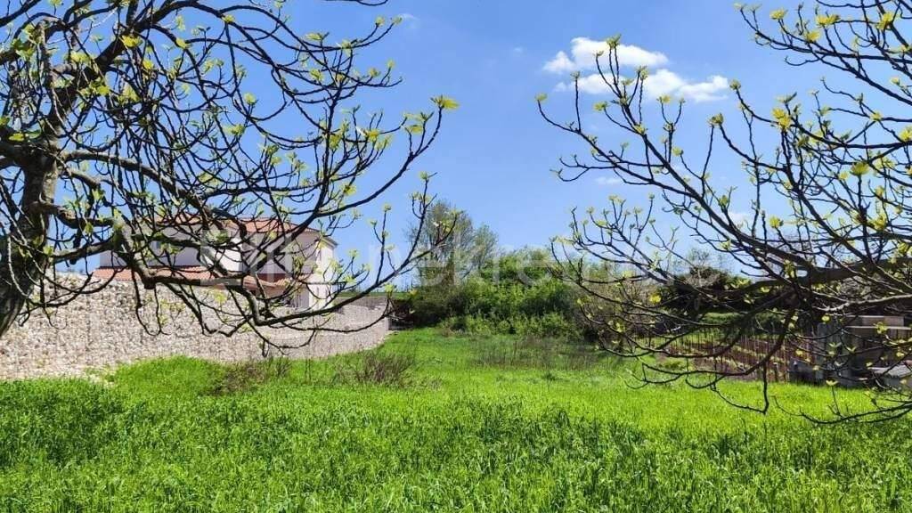 Land-/Forstwirtschaft zum Kauf 84.000 € Barban