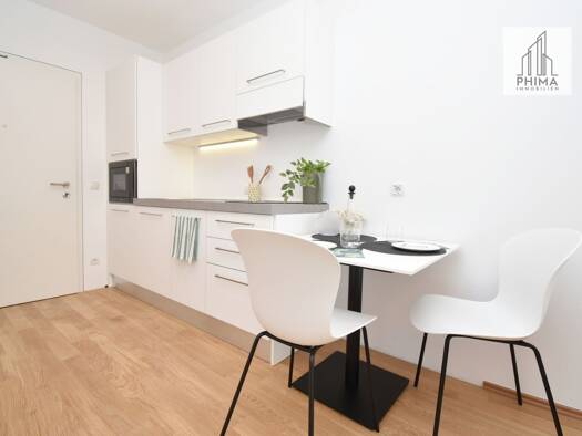 Wohnung zur Miete 880 € 2 Zimmer 25,7 m² Rheinstraße 93 Hard 6971