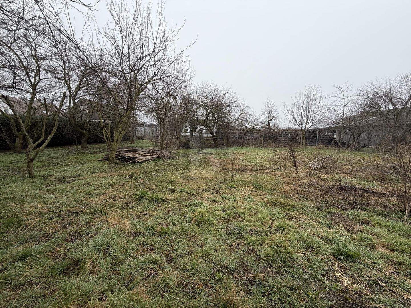 Immobilie in Sontheim an der Brenz - GROßE SCHEUNE, GARAGE & WOHNEN AUF VIEL GRUND - Bild 3