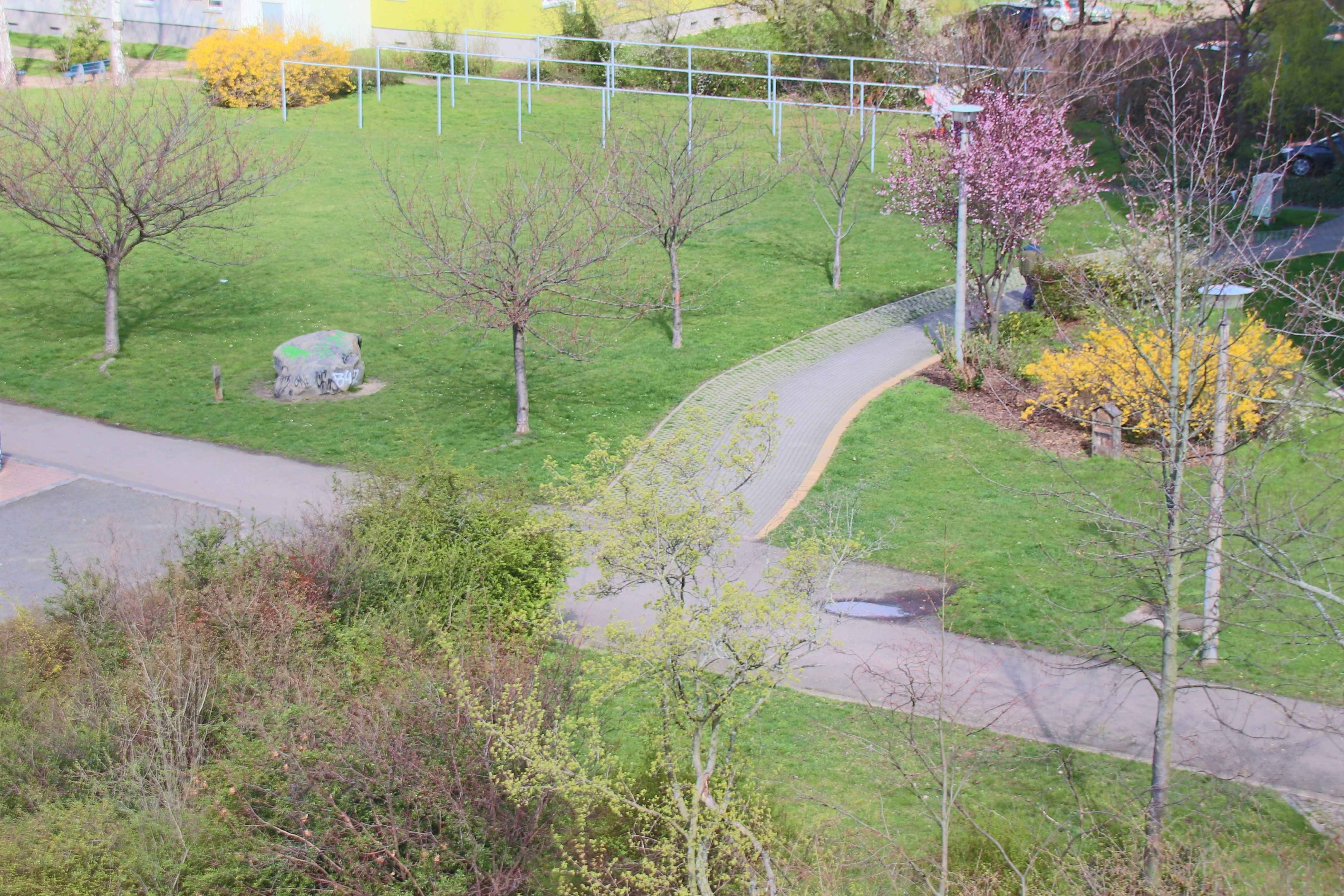 Property thumbnail 9