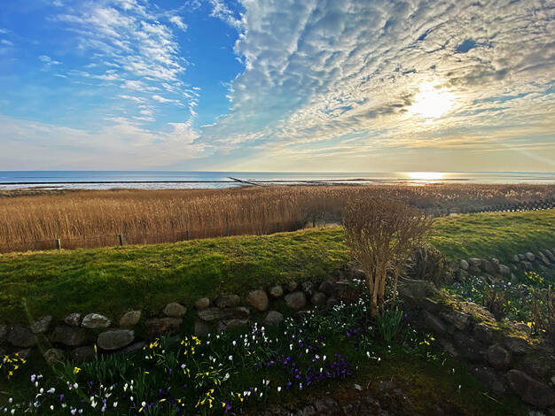 Reihenmittelhaus zum Kauf 1.950.000 € 4 Zimmer 101 m² Keitum Sylt 25980