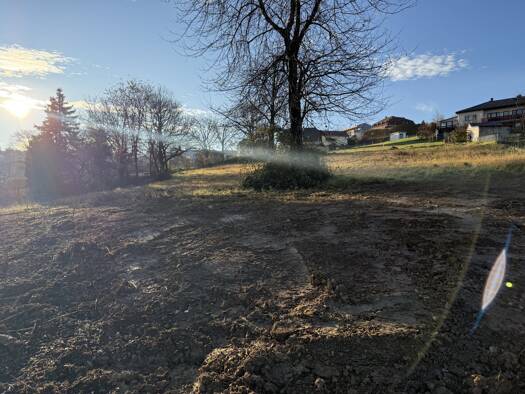 Grundstück zum Kauf 155.000 € 1.300 m² Grundstück Obere Höhenstraße Wiesen 7203