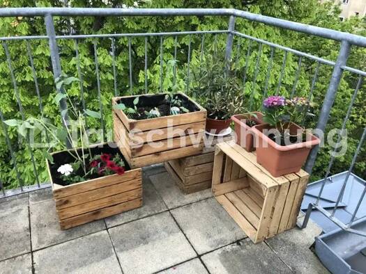 Wohnung zur Miete Tauschwohnung 1.100 € 3,5 Zimmer 105 m² 3. Geschoss Albertstadt Dresden 01099