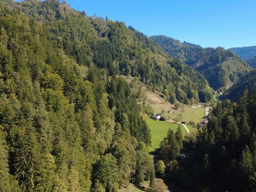 Forstwirtschaft zum Kauf 280.000 € 164.365 m² Grundstück Frantschach-St. Gertraud 9413