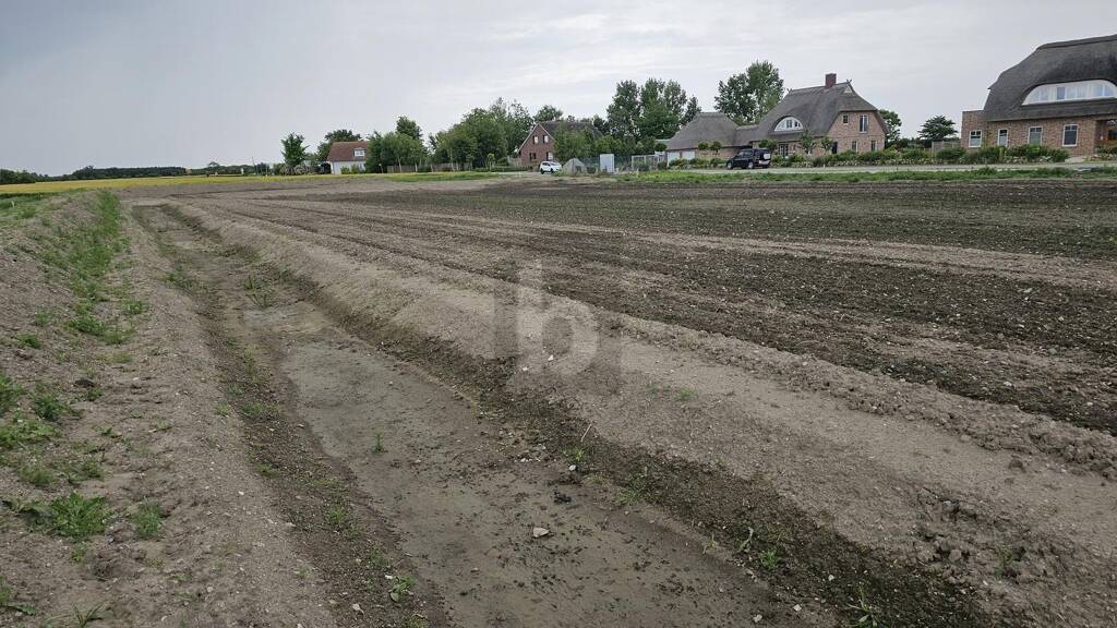 Grundstück zum Kauf 219.000 € 890 m² Grundstück Lemkendorf Fehmarn 23769