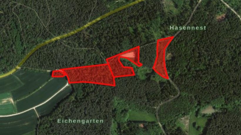 Forstwirtschaft zum Kauf 165.900 € 36.000 m²<br/>Fläche 36.000 m²<br/>Grundstück Hammermühle Creußen 95473