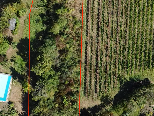 Grundstück zum Kauf 2.499.000 € 1.693 m² Grundstück Maikammer 67487