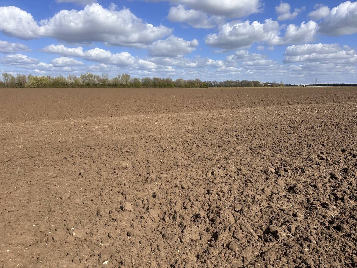 Landwirtschaftliche Fläche zum Kauf - Ansicht 4