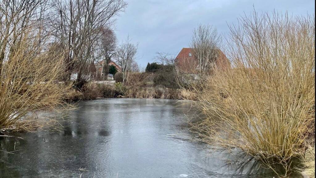 Grundstück zum Kauf 299.000 € 2.494 m² Grundstück Lemkendorf Fehmarn 23769