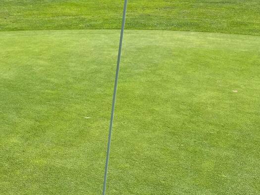 Grundstück zum Kauf 315.000 € 932 m² Grundstück Magdeburg 39128