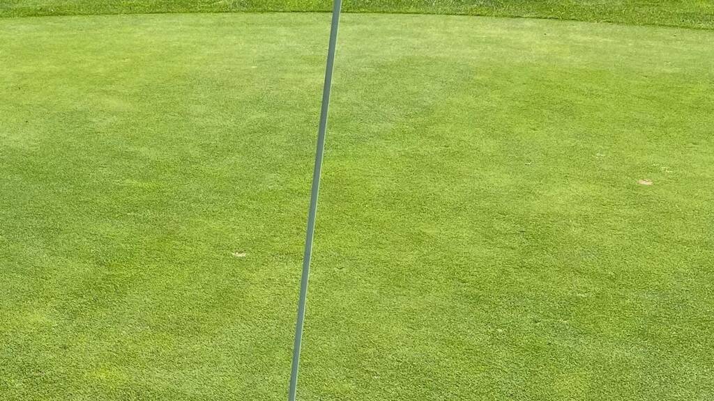 Grundstück zum Kauf 315.000 € 932 m² Grundstück Nordwest Magdeburg 39128