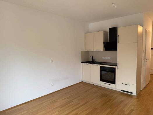 Wohnung zur Miete 550 € 1 Zimmer 25 m² frei ab sofort Mögeldorf Nürnberg 90482