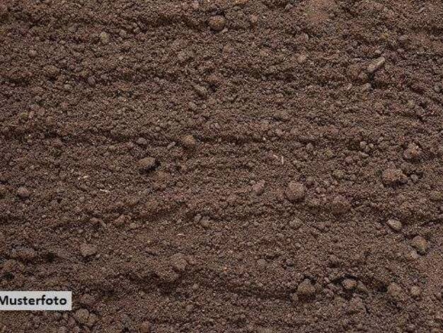 Land-/Forstwirtschaft zum Kauf 11.000 € 1.031 m² Grundstück Zscheckwitz Kreischa 01731