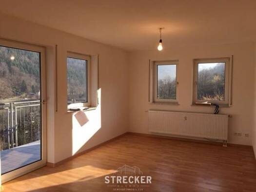 Wohnung zur Miete 575 € 2,5 Zimmer 47 m² Weisenbach Weisenbach 76599