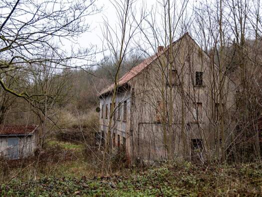 Einfamilienhaus zum Kauf 59.000 € 6 Zimmer 216 m² 23.235 m² Grundstück Kursdorf Eisenberg 07607