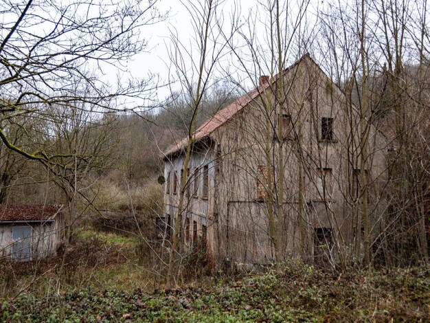 Einfamilienhaus zum Kauf 59.000 € 6 Zimmer 216 m² 23.235 m² Grundstück Kursdorf Eisenberg 07607