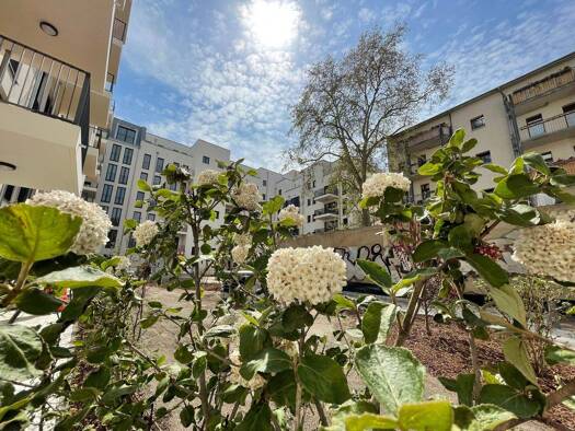 Wohnung zur Miete 830 € 2 Zimmer 66,4 m² EG frei ab 15.01.2026 August-Bebel-Str. 16 Südvorstadt Leipzig 04275