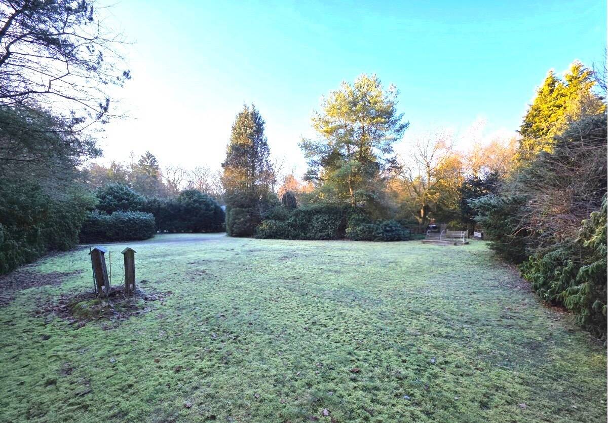 Immobilie in Hatten - Großzügiges Grundstück mit Potenzial - Ferienhaus/Baugrundstück in Hatten - Bild 3