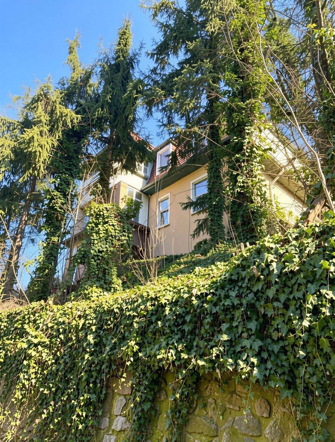 Immobilie in Meißen - Sanierungsbedürftiges Zweifamilienhaus in ruhiger und grüner Lage von Meißen - Bild 0