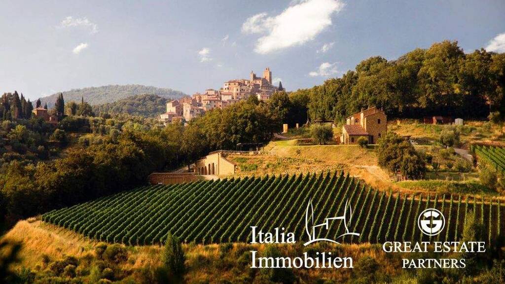 Bauernhaus zum Kauf 3.800.000 € 25 Zimmer 620 m² 100.000 m² Grundstück Trequanda 53020