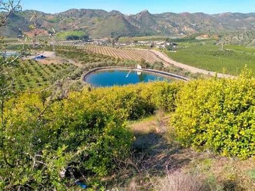 Grundstück zum Kauf 499.900 € Partido Arroyo De Los Olivos, 1 Almogía 29150