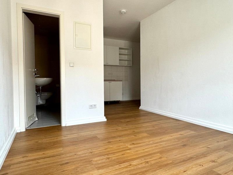 Wohnung zur Miete 350,25 € 1 Zimmer 23,4 m²<br/>Wohnfläche 4.<br/>Geschoss Hechtstraße 40 Leipziger Vorstadt (Mittlerer Hecht) Dresden-Leipziger Vorstadt 01097