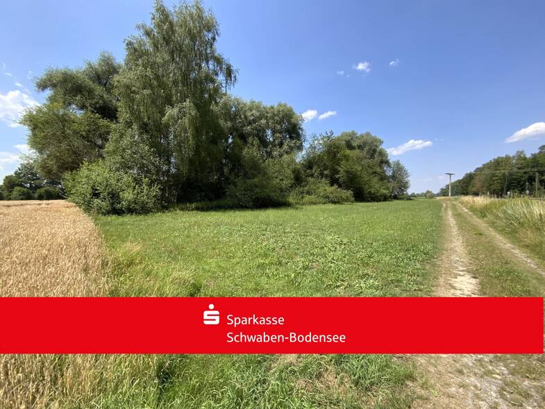 Land-/Forstwirtschaft zum Kauf 40.000 € 8.014 m² Grundstück Brühl Ichenhausen Ichenhausen 89335