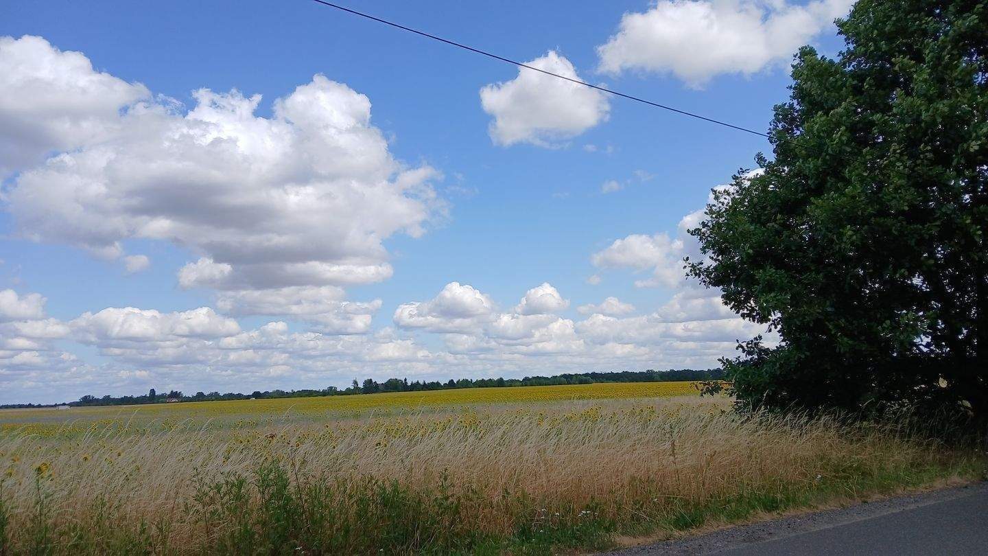 Immobilie in Rauen - Rauen/Stadtberge - kleines Haus, Garage  - Grundstück      - Bild 3