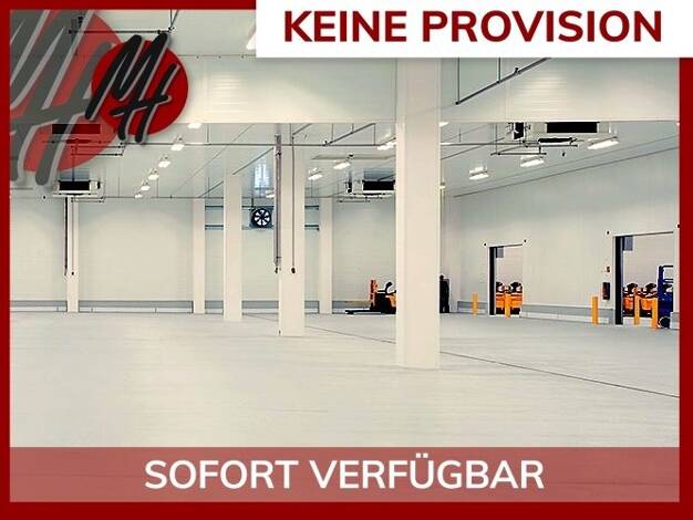 Lagerhalle zur Miete provisionsfrei 11.500 m² Lagerfläche Gießen Gießen 35394