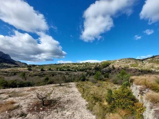 Acker-/Waldstück zum Kauf 700.000 € la Vall de Gallinera 03788