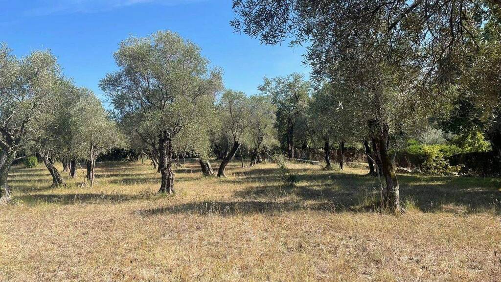 Grundstück zum Kauf 995.000 € 2.773 m² Grundstück Plage et Ecarts VALBONNE 06560