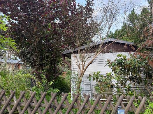 Haus zum Kauf 22.000 € 2 Zimmer 23 m² 260 m² Grundstück Rießen Siehdichum 15890
