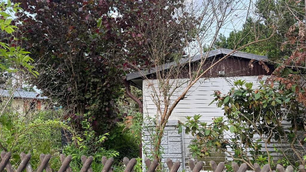 Haus zum Kauf 22.000 € 2 Zimmer 23 m² 260 m² Grundstück Rießen Siehdichum 15890