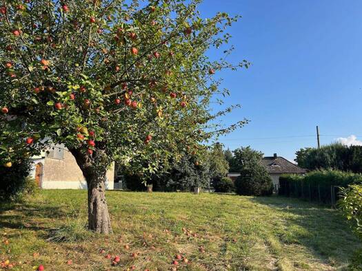 Grundstück zum Kauf 225.000 € 1.760 m² Grundstück Herzfelde 15378