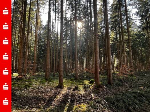 Land-/Forstwirtschaft zum Kauf 676.500 € 56.354 m² Grundstück Otterfing 83624