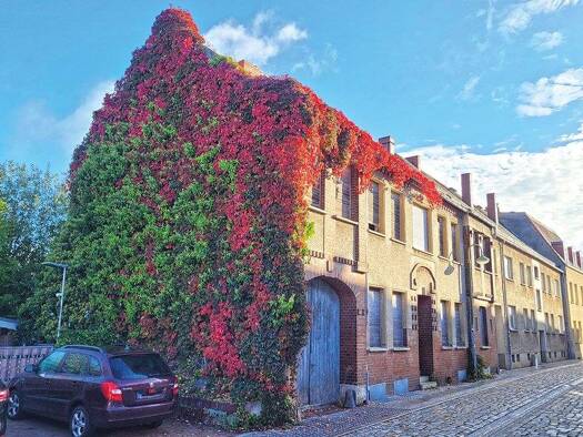 Grundstück zum Kauf 165.000 € 4.202 m² Grundstück Coswig 06869