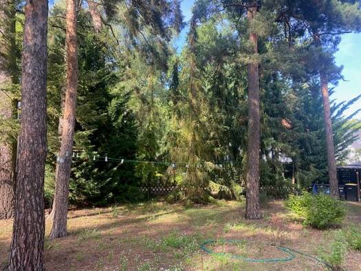 Grundstück zum Kauf 742.500 € 786 m² Grundstück Kleinmachnow 14532