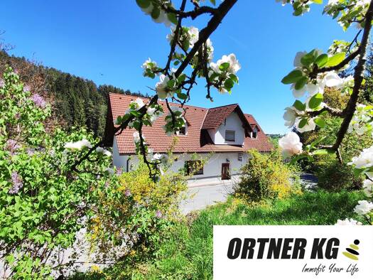 Haus zum Kauf 9 Zimmer 258 m² 1.046 m² Grundstück Ligist 8563