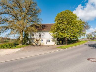 Haus zum Kauf provisionsfrei 860.000 € 7 Zimmer 335 m² 6.330 m² Grundstück Eschbachstraße 11 Mainwangen Mühlingen 78357