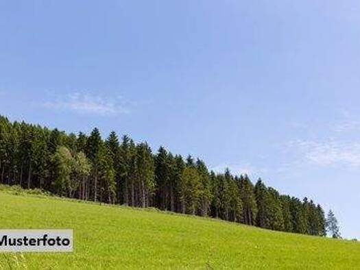 Land-/Forstwirtschaft zum Kauf 444.000 € 154.282 m² Grundstück St.Gerogen am Walde 4372