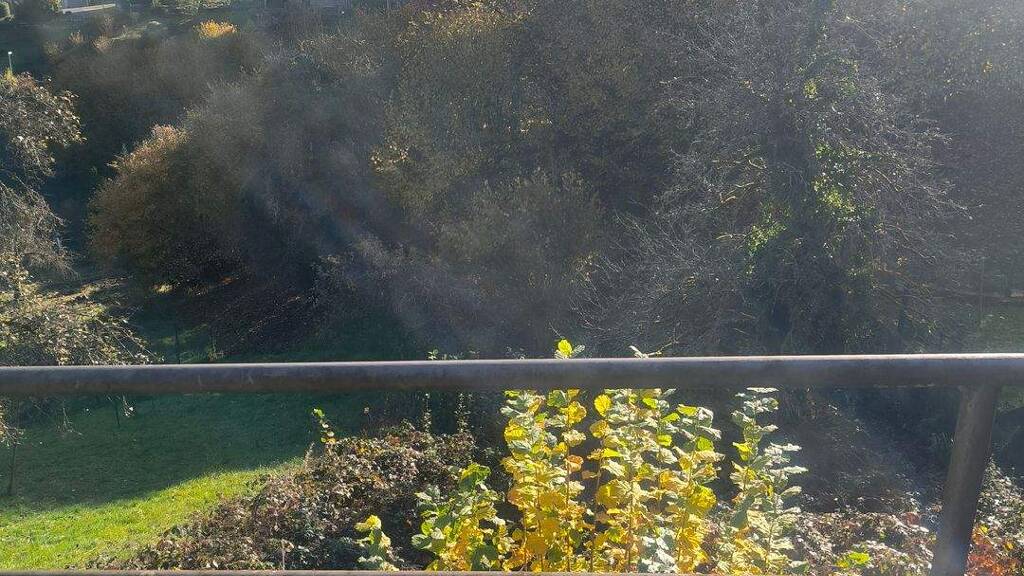 Grundstück zum Kauf 47.000 € 350 m² Grundstück frei ab sofort Forbach 76596