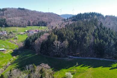 Grundstück zum Kauf 5.500 € 11.182 m² Grundstück Sattelhof 1 Raitbach Schopfheim 79650