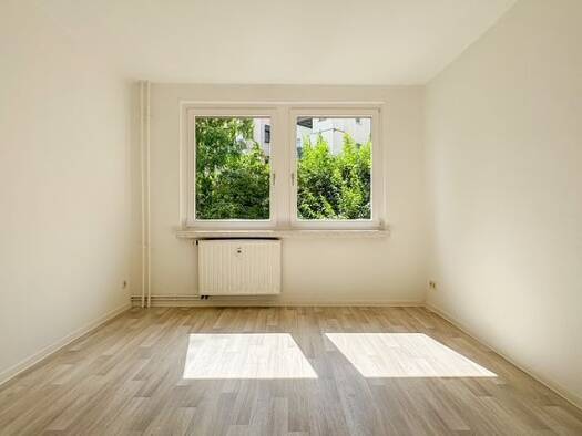Wohnung zur Miete 220 € 2 Zimmer 44,9 m² EG Haselbrunner Straße 93 Haselbrunn Plauen 08525